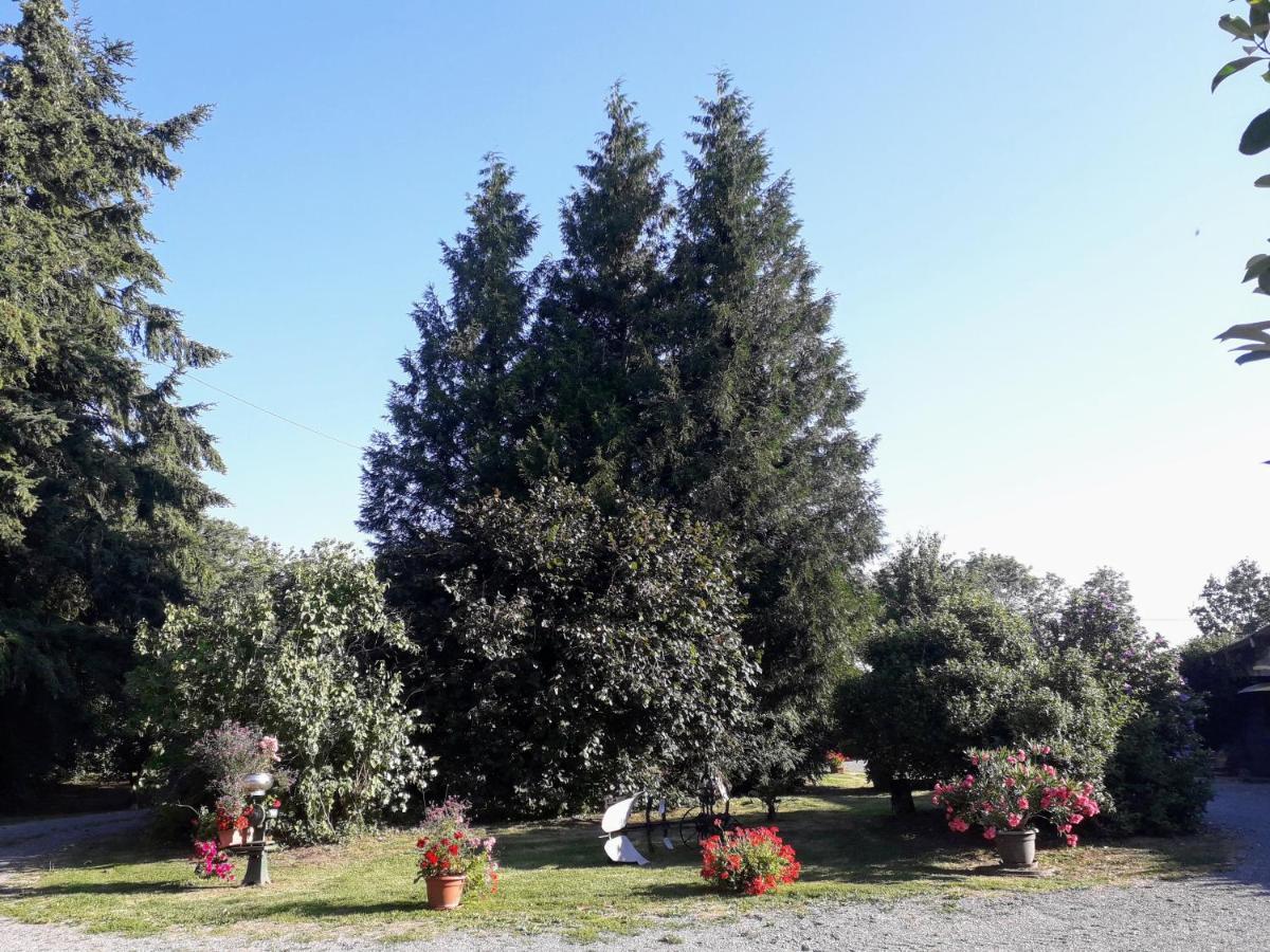 La Chapelle-pres-Sees La Ferme Des Tertres Bed & Breakfast エクステリア 写真