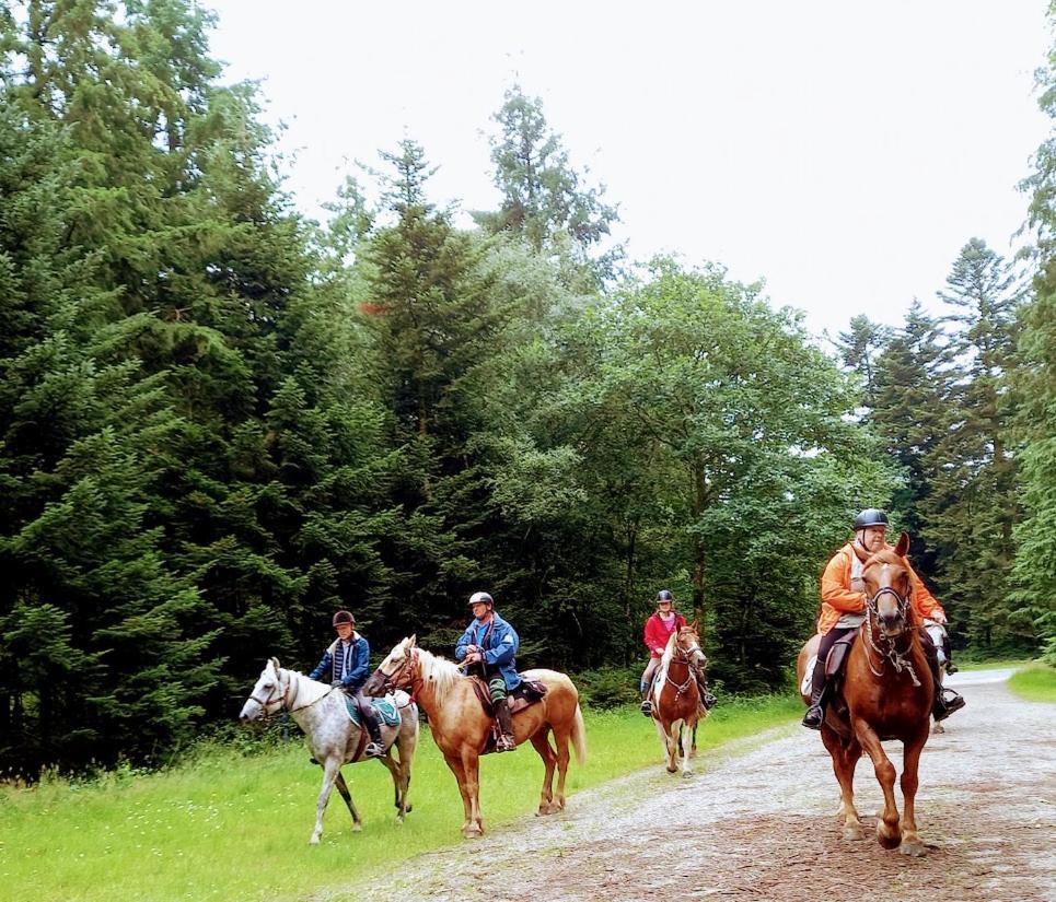 La Chapelle-pres-Sees La Ferme Des Tertres Bed & Breakfast エクステリア 写真